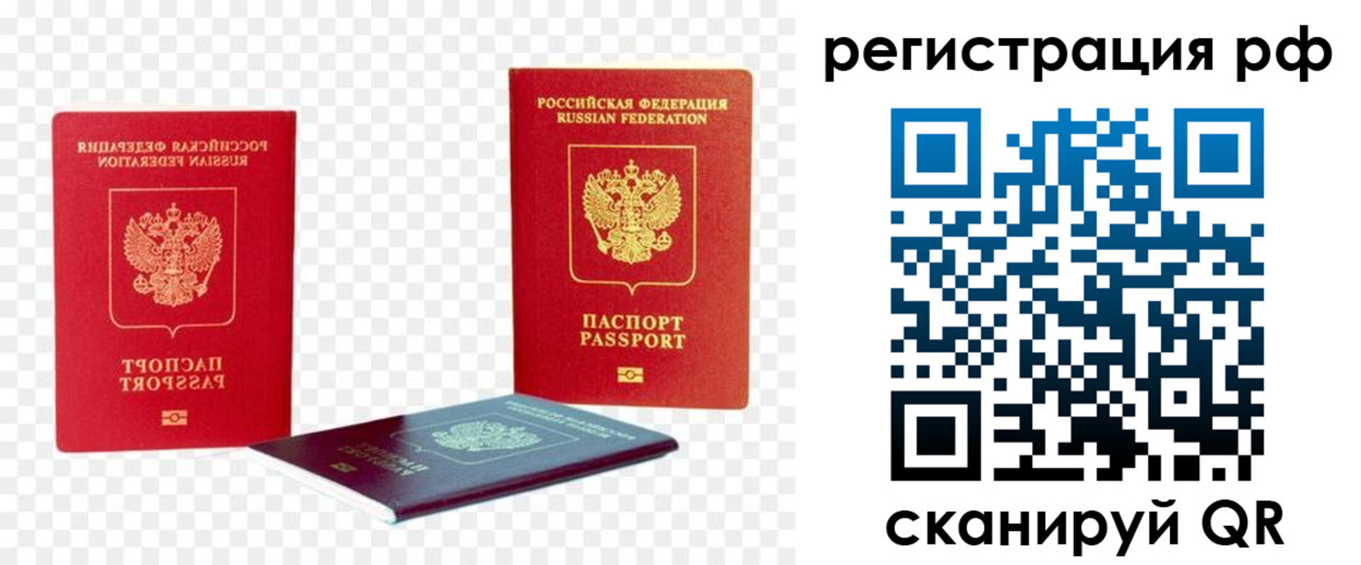 прописка паспорт в Жукове