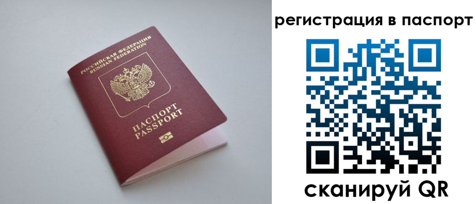 найти адрес прописки в Жукове